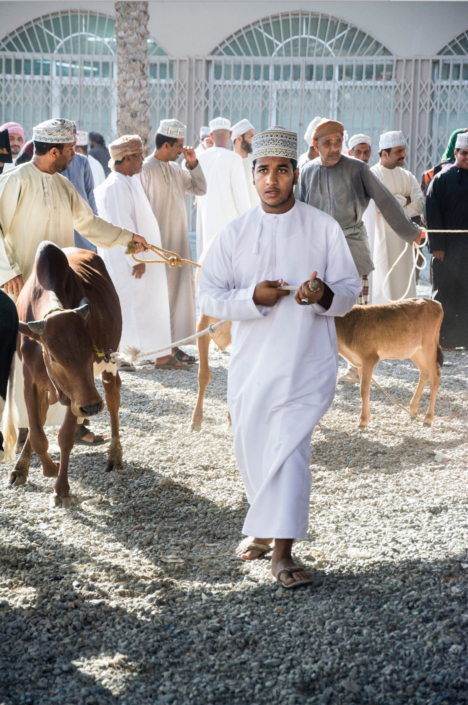 Reisefotografie Viehmarkt in Oman