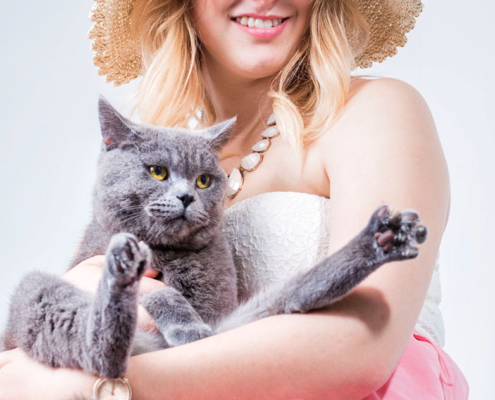 Katzenfotografie British Shorthair und Frau
