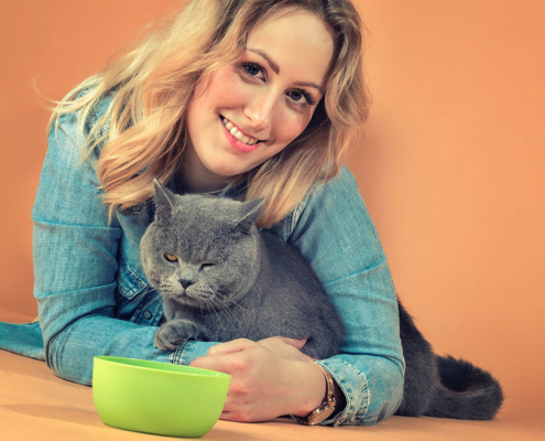 Katzenfotografie British Shorthair und Frau